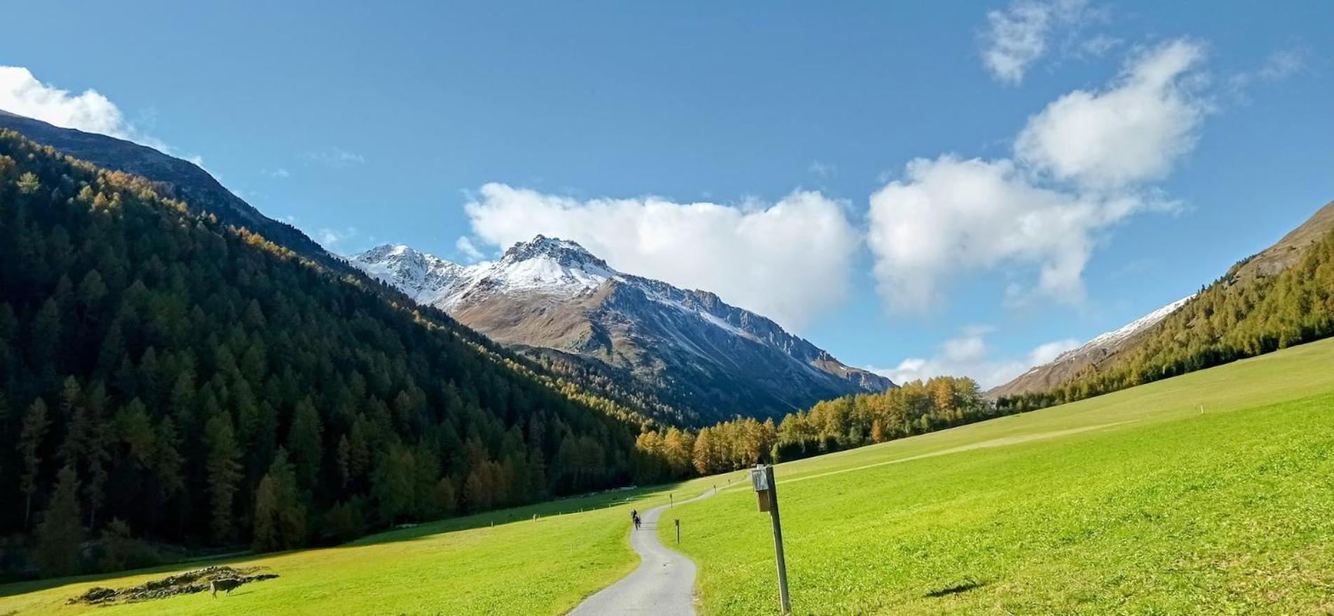 Zangerlehof Villa Slingia Exteriör bild